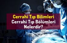 Cerrahi Tıp Bilimleri Nelerdir? Cerrahi branşlar, cerrahi bölümler, cerrahi dallar