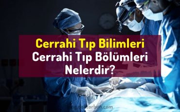 Cerrahi Tıp Bilimleri Nelerdir? Cerrahi branşlar, cerrahi bölümler, cerrahi dallar